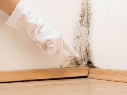 Best Mold Removal for HVAC Installations  in Collierville, TN